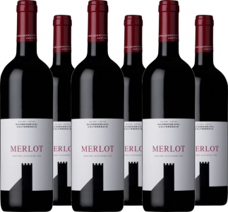 6er Vorteilspaket Merlot Südtirol DOC Schreckbichl