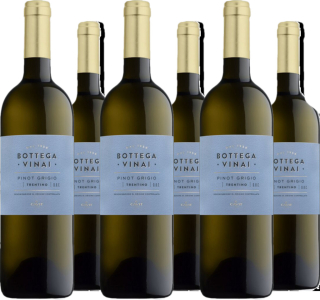 6er Vorteilspaket Pinot Grigio Trentino DOC Bottega Vinai