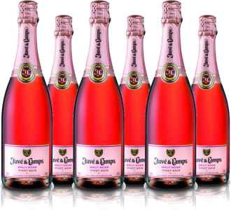 6er Vorteilspaket Juve Y Camps Brut