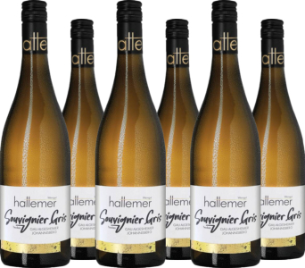 6er Vorteilspaket Souvignier Gris Rheinhessen Qualitätswein trocken  Gau Algesheimer Johannisberg