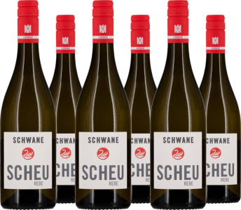 6er Vorteilspaket Volkach Scheurebe trocken VDP.Ortswein