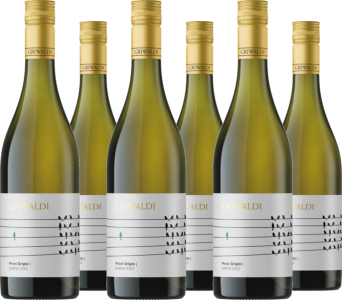 6er Vorteilspaket Pinot Grigio Garda DOC Griwaldi