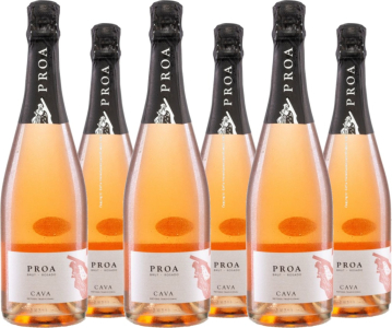 Vallformosa 6er Vorteilspaket Cava Proa Brut Rosado