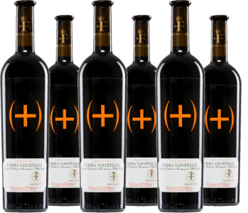 6er Vorteilspaket Summa Varietalis Tinto