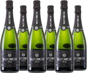 6er Vorteilspaket Cava Vallformosa Origen Brut Reserva