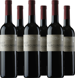 Gerold Spies 6er Vorteilspaket Spätburgunder trocken Weingut Gerold Spies