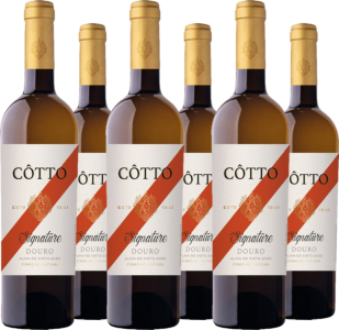 Quinta do Côtto 6er Vorteilspaket Côtto Signature Douro DOC Alma de Xisto Vinho Branco