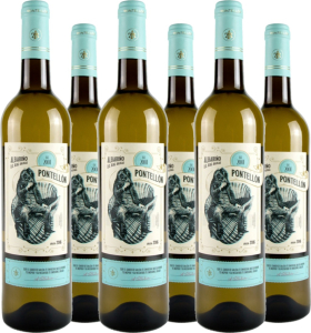 Adegas Tollodouro 6er Vorteilspaket Pontellón Albarińo Rías Baixas DO