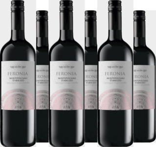 Cantine Galasso 6er Vorteilspaket Montepulciano d