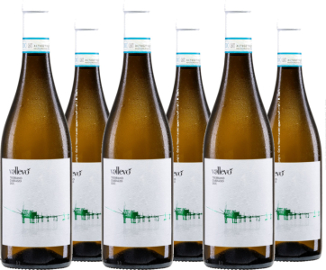 6er Vorteilspaket Vallevo Trebbiano d' Abruzzo