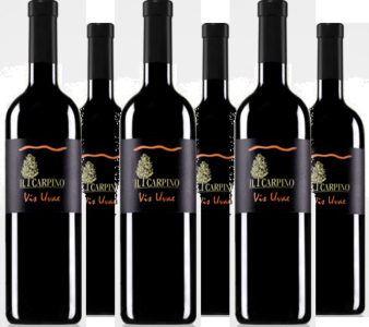 Il Carpino 6er Vorteilspaket Pinot Grigio Vis Uvae IGT La Selezione