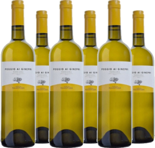 Tenuta Argentiera 6er Vorteilspaket Poggio Ai Ginepri Bianco IGT