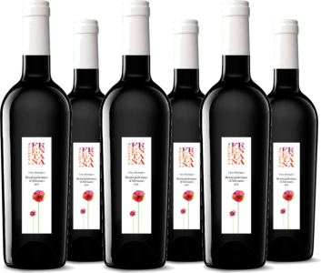 6er Vorteilspaket Montepulciano d'Abruzzo DOC