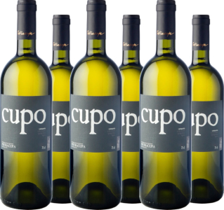 Pietracupa 6er Vorteilspaket Fiano di Avellino Cupo