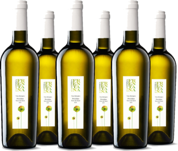 6er Vorteilspaket Pecorino Terre di Chieti IGT