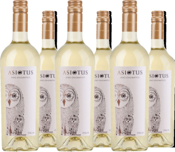 Asio Otus 6er Vorteilspaket Weiss Vino Varietale D