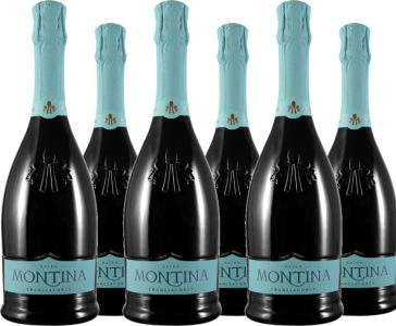 6er Vorteilspaket Franciacorta DOCG Saten