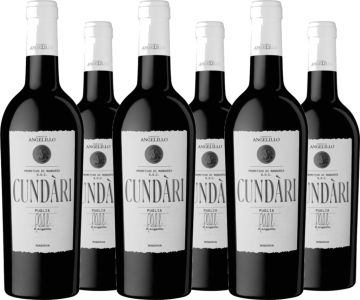 Famiglia Angelillo 6er Vorteilspaket Cundari Primitivo di Manduria Riserva