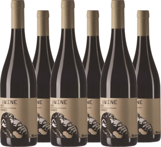 6er Vorteilspaket WWWine Cesanese Lazio IGT