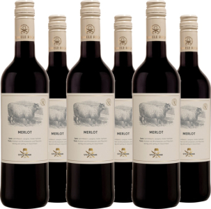 6er Vorteilspaket Recas Food Pairing Merlot