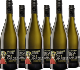 6er Vorteilspaket Rock me Amadeus S.Bl.Gr.Veltl.