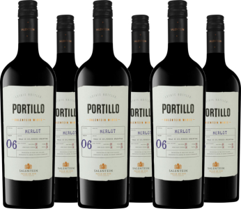 6er Vorteilspaket Bodegas Salentein Portillo Merlot