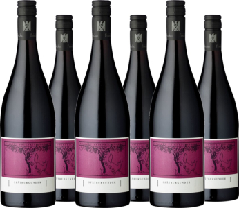 6er Vorteilspaket Pinot Noir VDP  trocken Gutswein