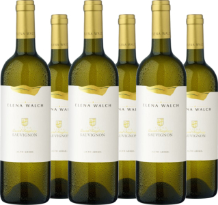 6er Vorteilspaket Elena Walch Sauvignon Blanc Vigna Castel Ringberg Alto Adige DOC