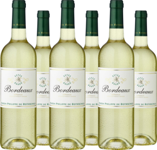 6er Vorteilspaket Bordeaux Blanc AOC