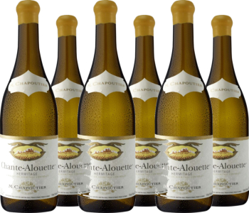 6er Vorteilspaket Chante-Alouette Blanc Hermitage