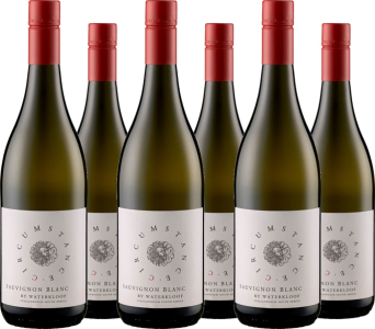 6er Vorteilspaket Waterkloof Circumstance Sauvignon Blanc
