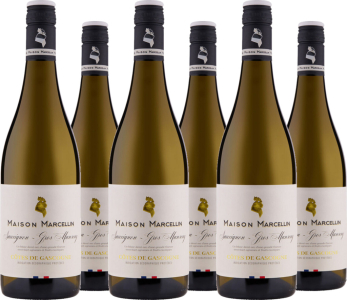 6er Vorteilspaket Sauvignon - Gros Manseng Côte de Gascogne