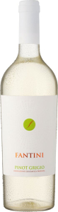 Fantini Pinot Grigio 2023 FANTI GROUP VINI SRL 