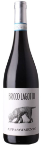 Bricco Lagotto Barbera Passito DOC
