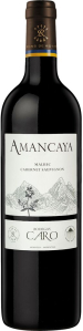 Bodegas Caro Amancaya