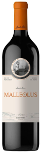 Emilio Moro Malleolus