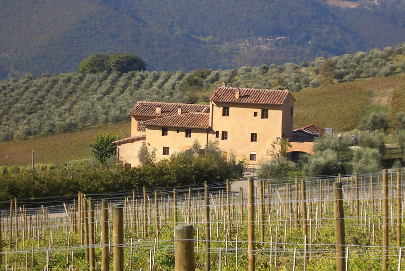Fattoria I Veroni Fattoria I Veroni