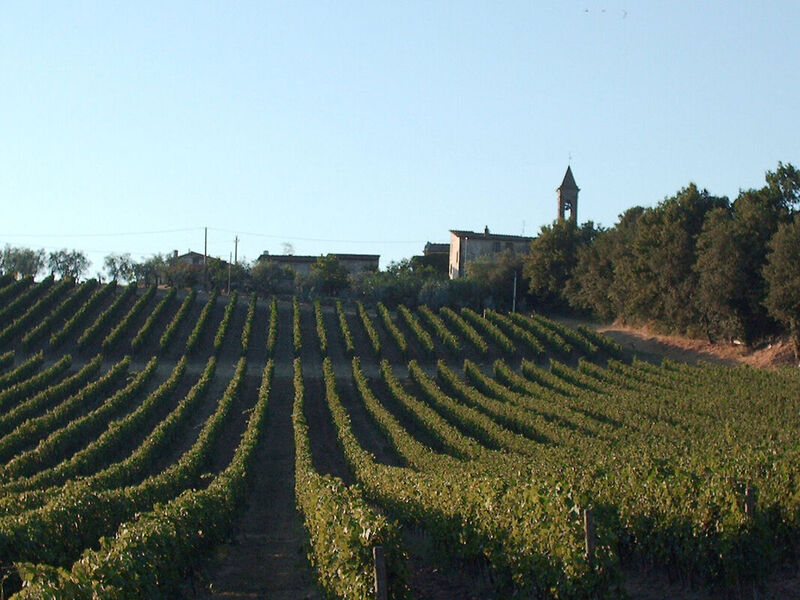 Fattoria I Veroni Fattoria I Veroni