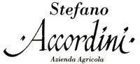 Stefano Accordini