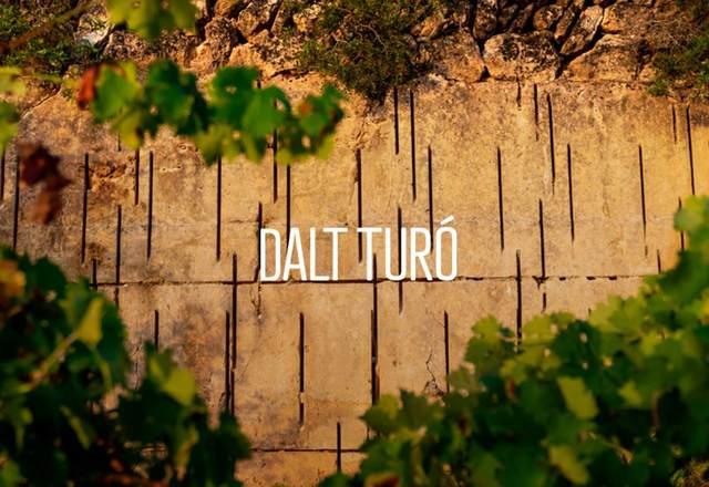 Dalt Turó
